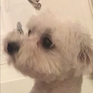 Meet your Posher, Rui